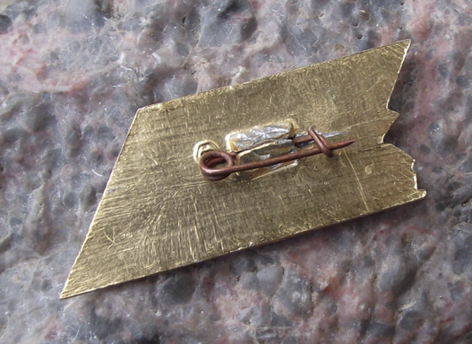 Vintage Vladimir Lenin Shock Worker Udarnik Lviv Communist Pin Badge