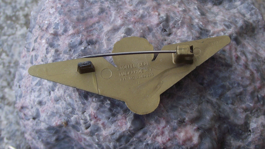 Vintage TWA Trans World Airlines Wings Pin Badge - Badgecrazy