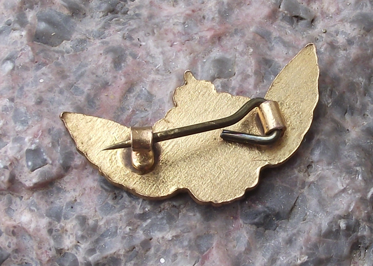 Vintage Kingdom of Libya Airlines Winged Crown Libyan Logo Pin Badge