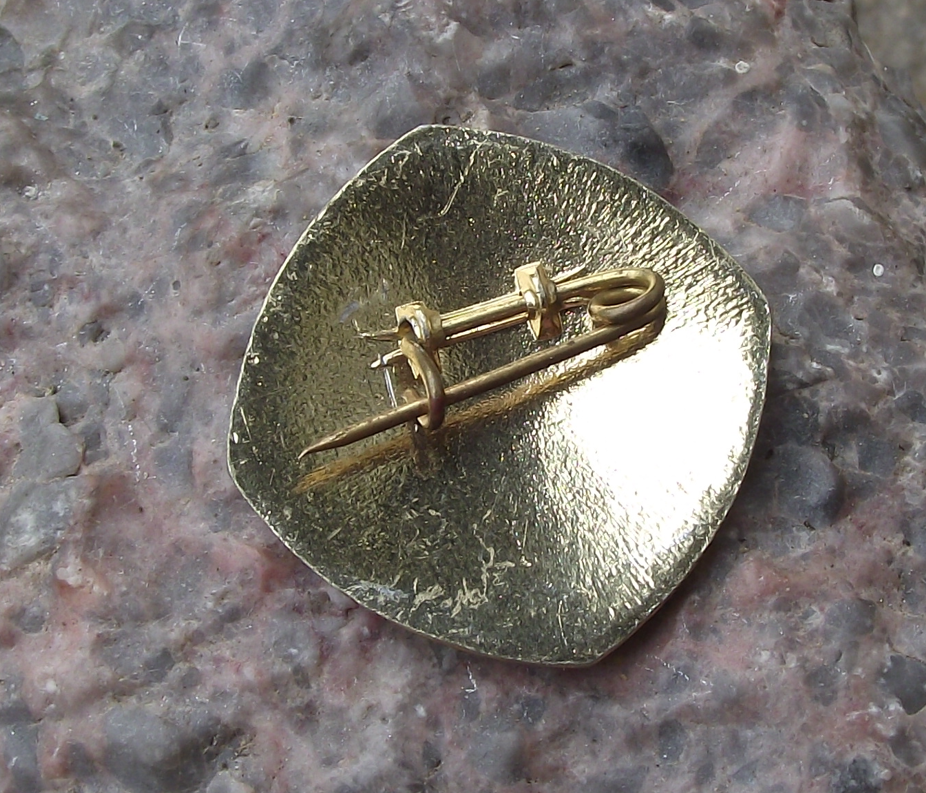 Vintage CAAC Civil Aviation Administration of China Aircraft Wings Pin Badge - Badgecrazy