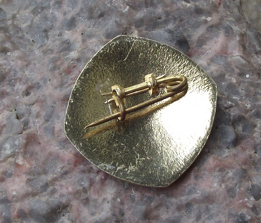 Vintage CAAC Civil Aviation Administration of China Aircraft Wings Pin Badge - Badgecrazy