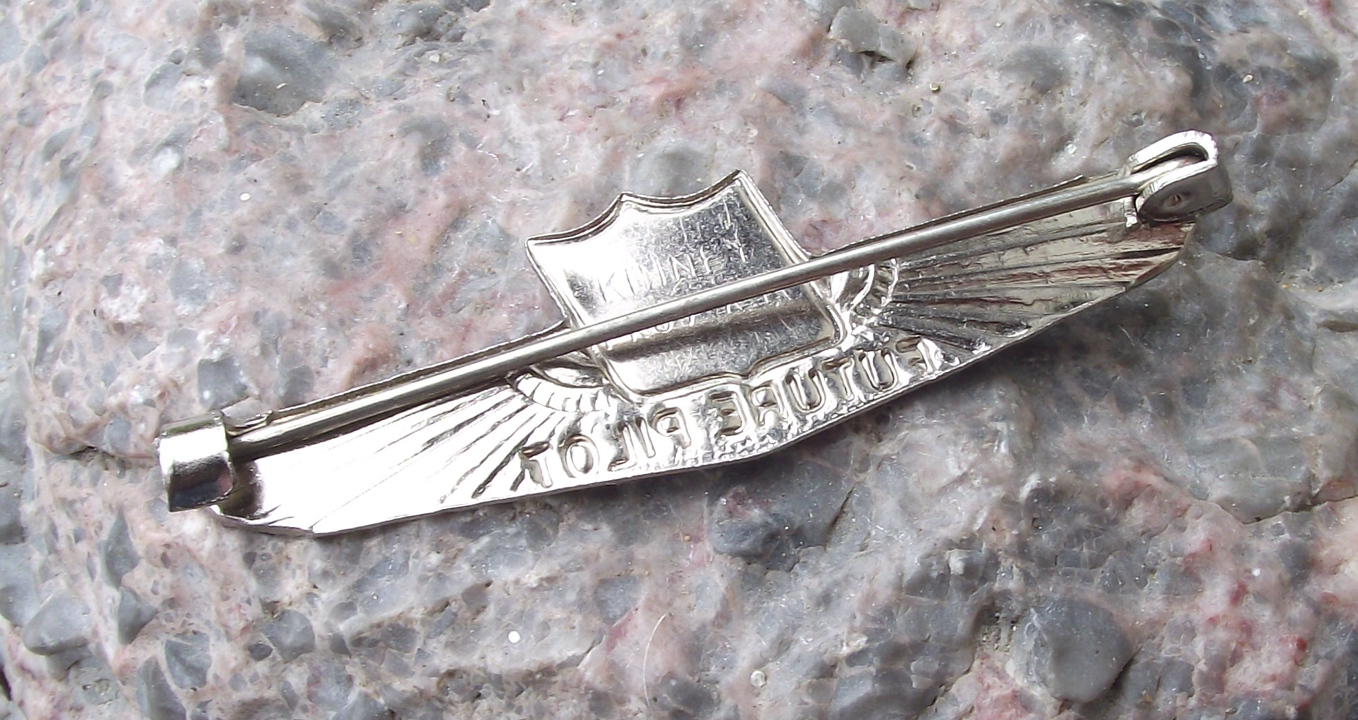 Vintage United Airlines Wings Future Pilot Pin Badge - Badgecrazy