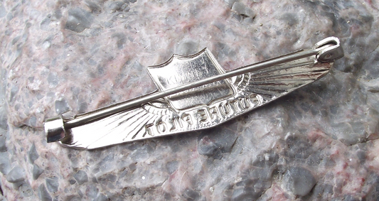 Vintage United Airlines Wings Future Pilot Pin Badge - Badgecrazy