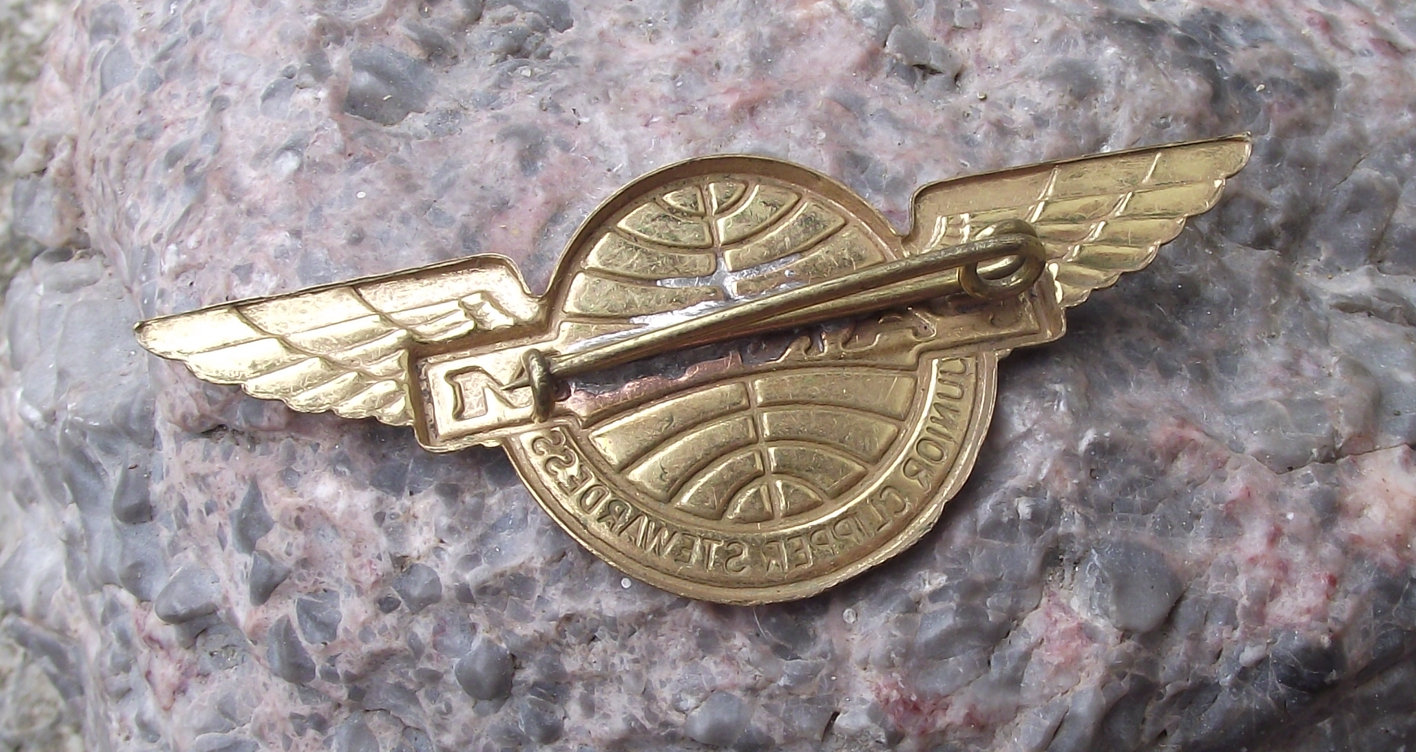 Vintage PanAm Pan Am Airlines Junior Clipper Stewardess Wings Pin Badge - Badgecrazy
