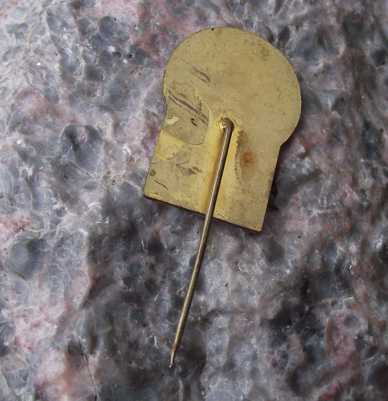 Vintage Cheb Oberkotzau Herlasgrun Railway Link Anniversary Train Pin Badge - Badgecrazy