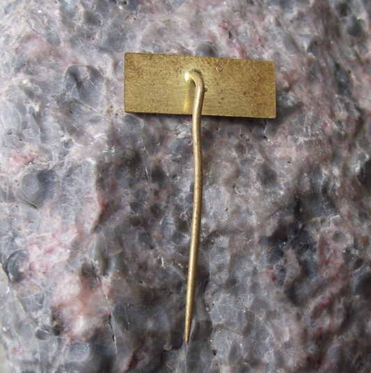 1974 JLV Luxury Buffet Car Carriage Makers Anniversary Railway Train Pin Badge - Badgecrazy