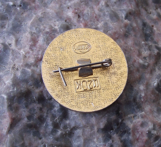 Vintage Lenin Head Circle with Laurel Leaves Pin Badge
