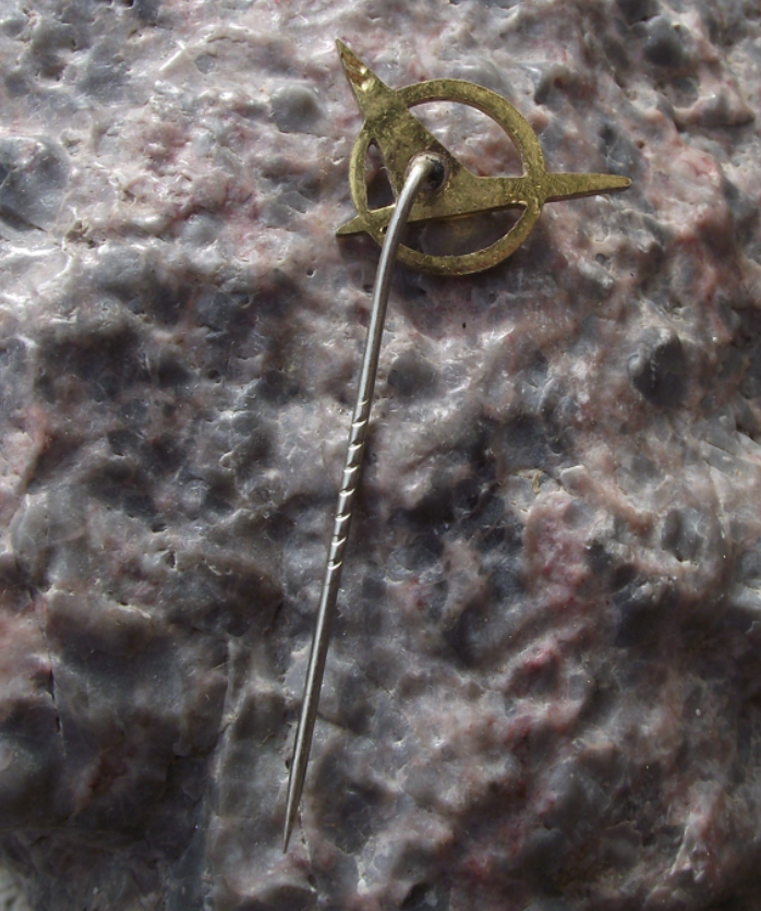 Vintage East Germany Aeroklub der DDR Flying Club Pilots Pin Badge - Badgecrazy