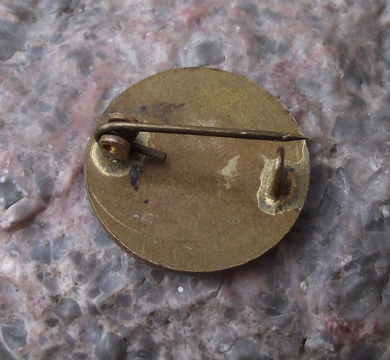 Vintage Czechoslovakia Red Cross CSCK Medical Worker Pin Badge - Badgecrazy