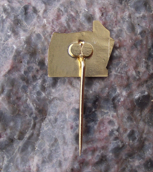 Vintage Czechoslovakia May day Mayday 1st May Czech Flag Spring Parade Pin Badge