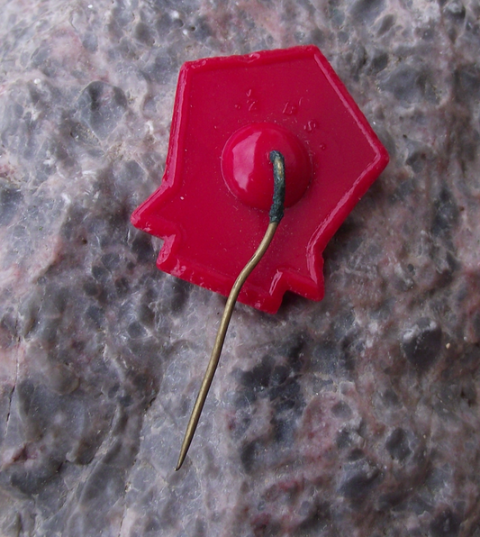 1954 Czechoslovakia May Day Celebration Czech Soviet Star Pin Badge