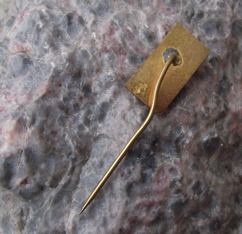 Vintage Czechoslovakia May Day Celebration Maj 1 Red Flowers Pin Badge - Badgecrazy