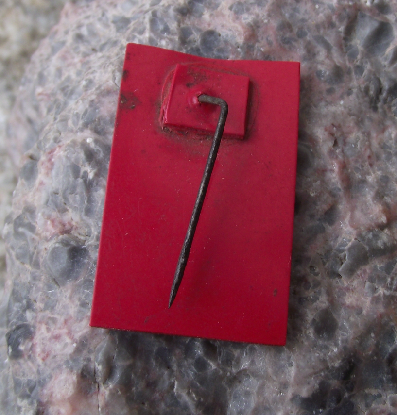 1933 Czechoslovakia May Day Celebration Anti Fascist Fasces Pin Badge