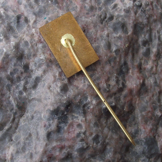 1982 Lezaky World War 2 WW2 Massacre 40th Anniversary Pin Badge - Badgecrazy