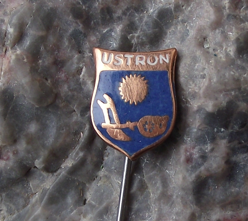 Vintage Ustron Poland Heraldic Crest Small Shield Polish Enamel Pin Badge