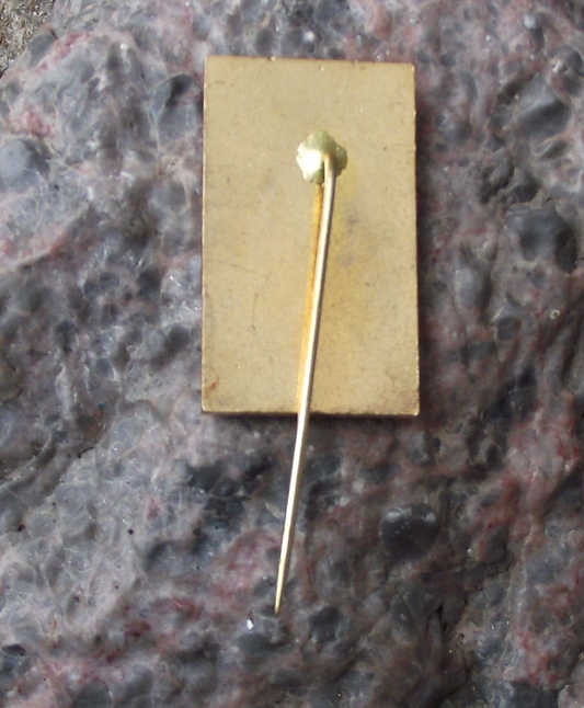 1977 Czechoslovakia ROH 9th IX All Trade Union Conference Pin Badge