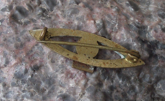 Vintage CSL Czech Czechoslovak Peoples Political Party Czech Flag Brooch Pin Badge - Badgecrazy