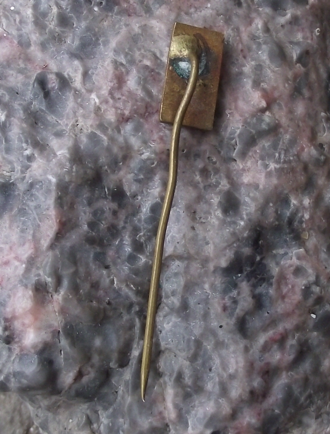 Vintage CSL Czech Czechoslovak Peoples Political Party Czech Flag Pin Badge - Badgecrazy