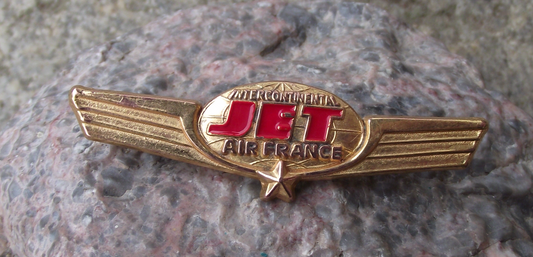 Vintage Air France Intercontinental Jet French Airlines Pilot Wings Pin Badge