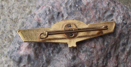 Vintage Air France Intercontinental Jet French Airlines Pilot Wings Pin Badge