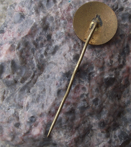1945 World Students Day 17th November Prague Czech Congress Pin Badge