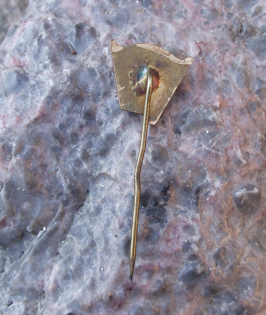 Vintage Georgi Dimitrov Bulgaria Communist General Secretary Flag Pin Badge - Badgecrazy