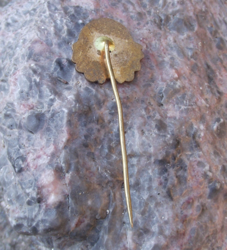 1947 Czechoslovakia National Socialist Party 50th Anniversary Political Pin Badge - Badgecrazy