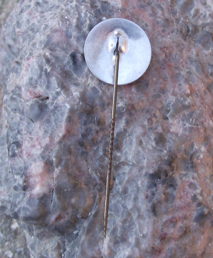 Vintage IUS International Students Union Student Day Pin Badge - Badgecrazy