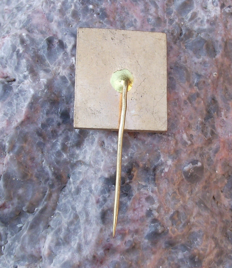 1985 WFDY World Youth Festival Moscow Student Federation Pin Badge - Badgecrazy