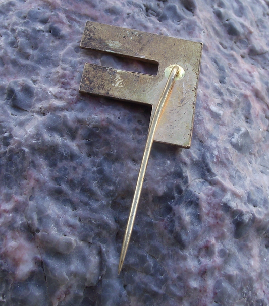 1973 WFDY World Youth Festival East Germany Democratic Federation F Pin Badge - Badgecrazy