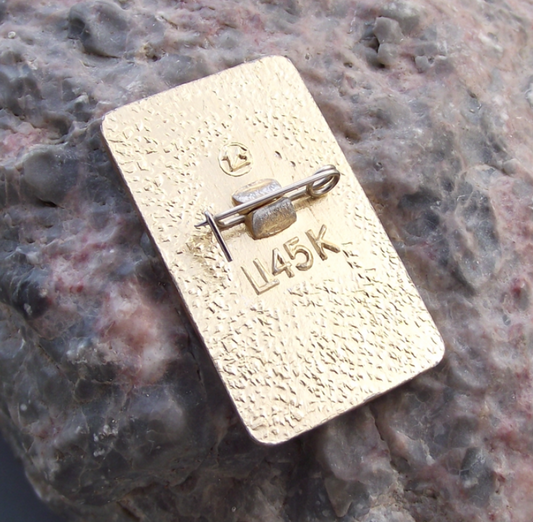 1985 WFDY XII World Youth Festival Moscow Democratic Federation Pin Badge - Badgecrazy