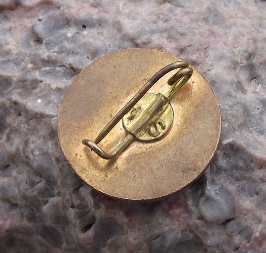 Vintage GUSIR General Union of Iraq Students IUS Member Pin Badge - Badgecrazy