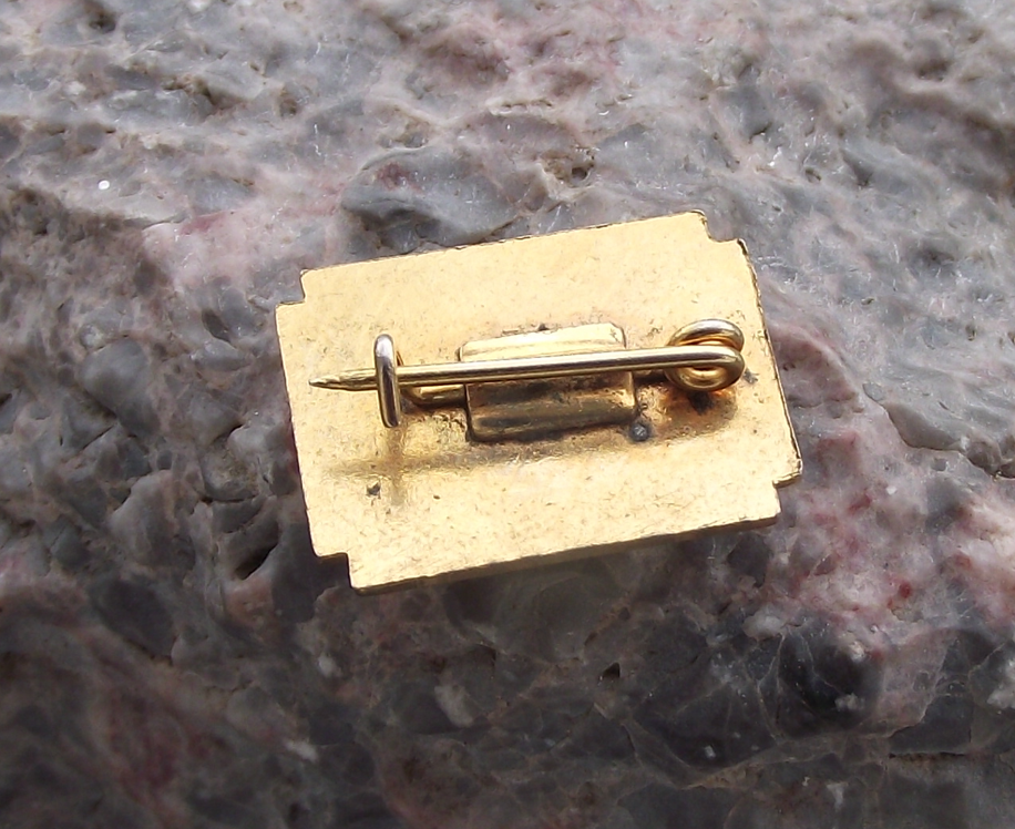 1964 Hungarian Pioneer Youth Young Communist League Anniversary Pin Badge - Badgecrazy