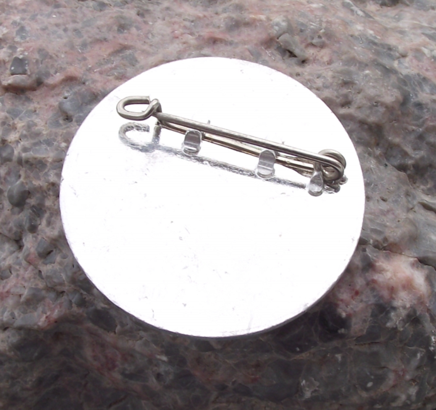 1973 WFDY 10th World Youth Festival FDJ Berlin East Germany Pin Badge - Badgecrazy