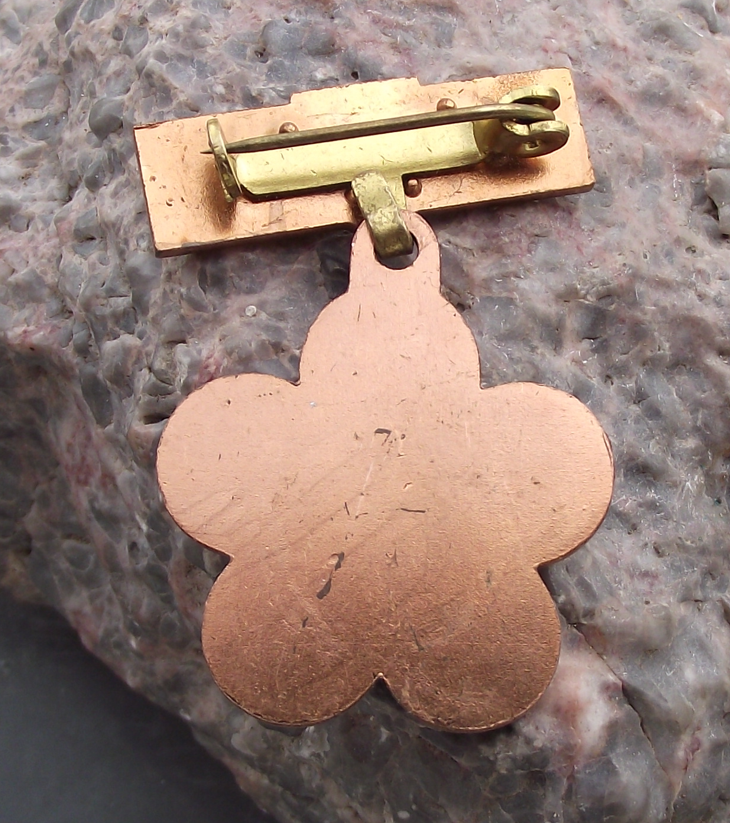 1973 WFDY 10th World Youth Festival FDJ Berlin Participant Pin Badge - Badgecrazy