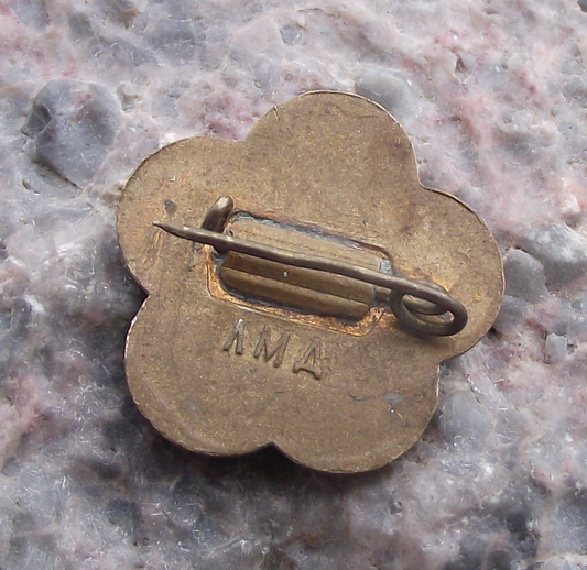 Vintage Russian WFDY World Youth Festival For Peace Slogan Pin Badge - Badgecrazy