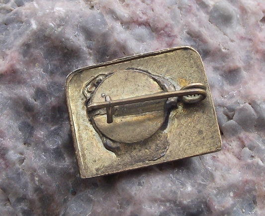 Vintage WFDY World Youth Festival Friendship Slogan Pin Badge - Badgecrazy