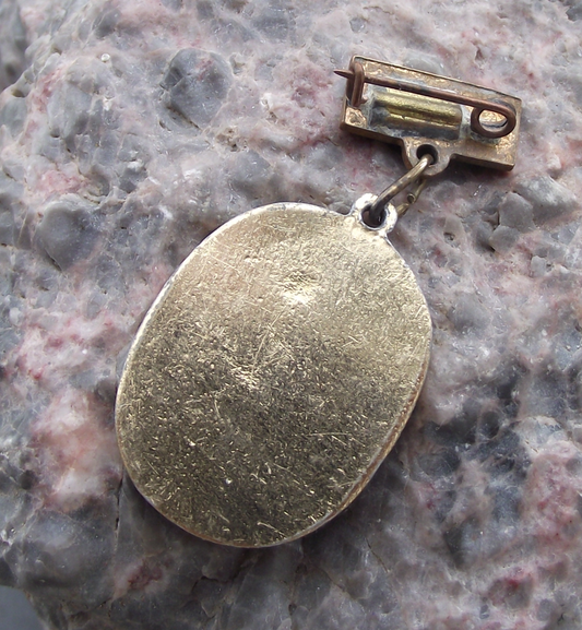 1957 WFDY World Youth Festival Moscow Russia Festival Medal Pin Badge - Badgecrazy