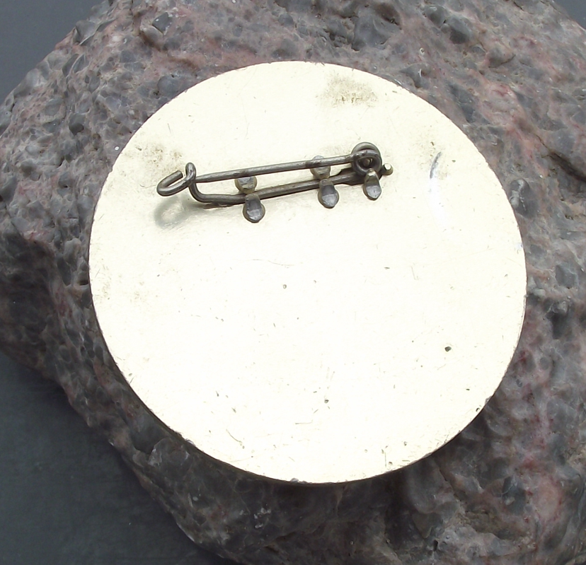 1973 WFDY X 10th World Youth Festival Berlin East Germany Pin Badge - Badgecrazy