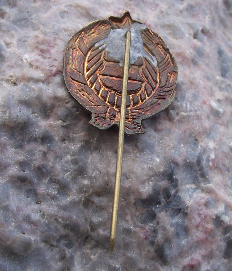 Vintage Hungary Hungarian People's Republic Official Emblem Pin Badge