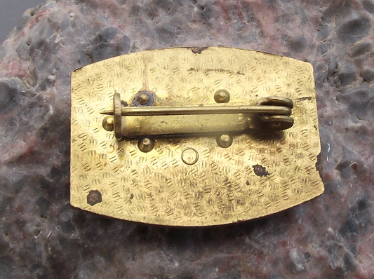 1977 DFD Democratic Women's League of East Germany DDR Pin Badge - Badgecrazy