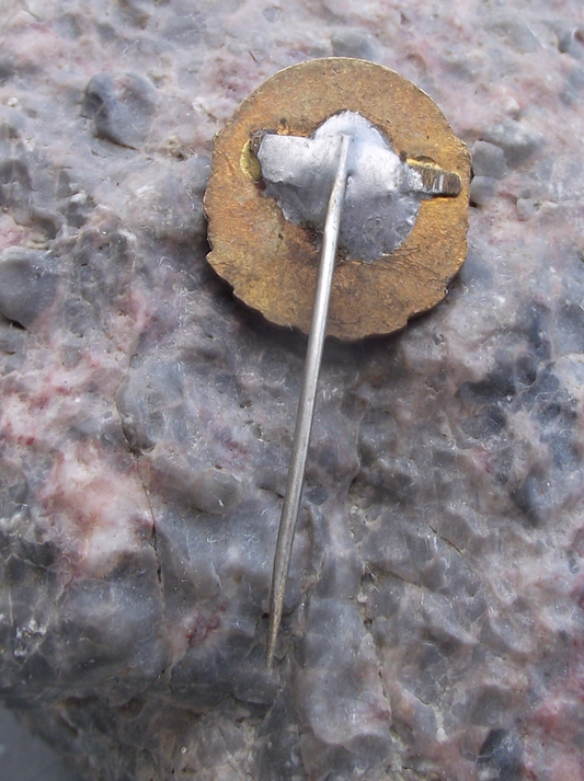 International Women's Day Czech MDZ World Globe Laurel Leaves Pin Badge - Badgecrazy