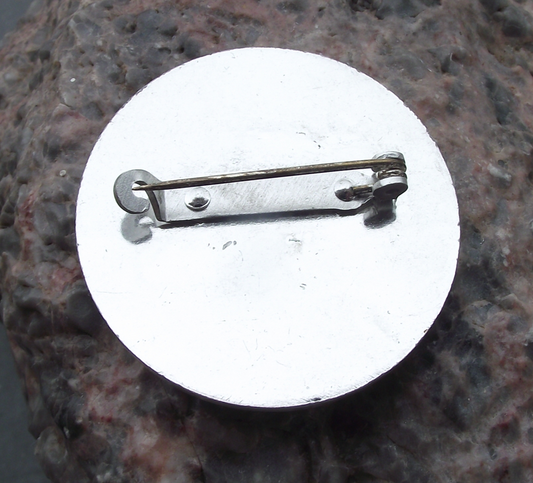 Vintage IUS Students Association Victory in Vietnam War Pin Badge - Badgecrazy