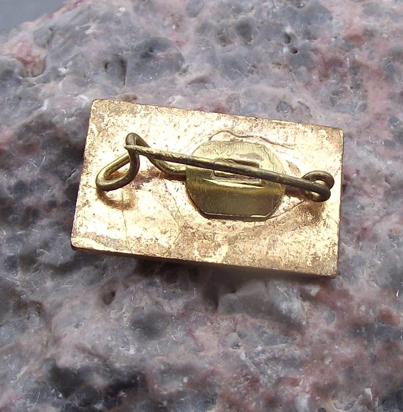 Vintage Romanian Hunting Fishing Association Timis District Pin Badge - Badgecrazy