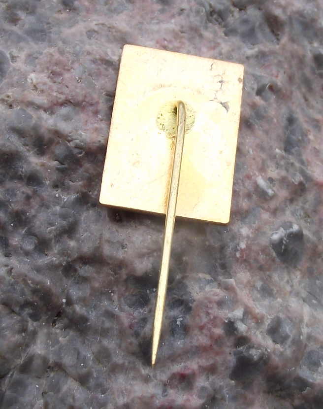 Vintage CMMJ Czech Hunting Association CMS Deer Head Members Pin Badge