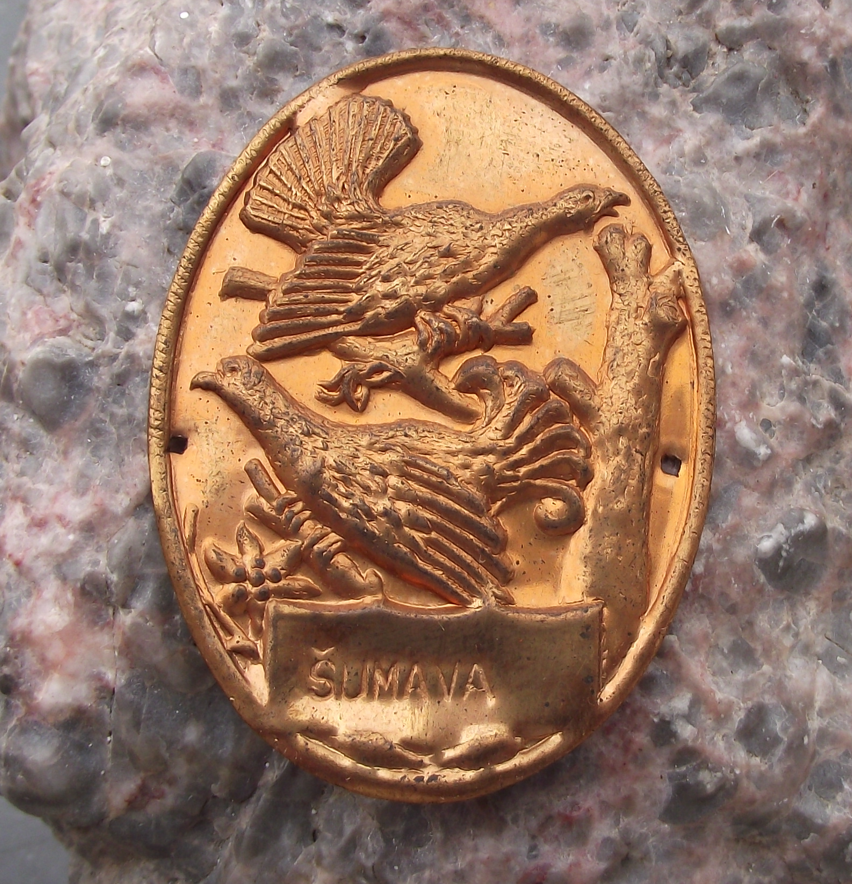 Vintage Sumava National Park Capercaillie Grouse Hunting Walking Stick Shield - Badgecrazy