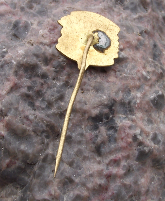 Vintage Luhacovice State Forestry Commission Czechoslovakia Hunters Pin Badge