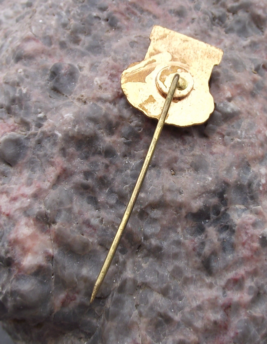 Vintage AGVPS Romania Hunting Association Stag Roe Deer Members Pin Badge