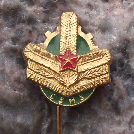 Vintage CSMS For Services to Hunting Award Pin Badge