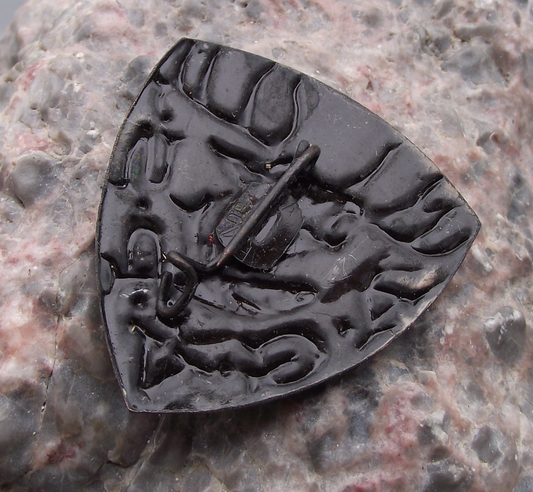 Vintage AGVPS Romania Hunting Association Stag Deer Fish Shield Pin Badge